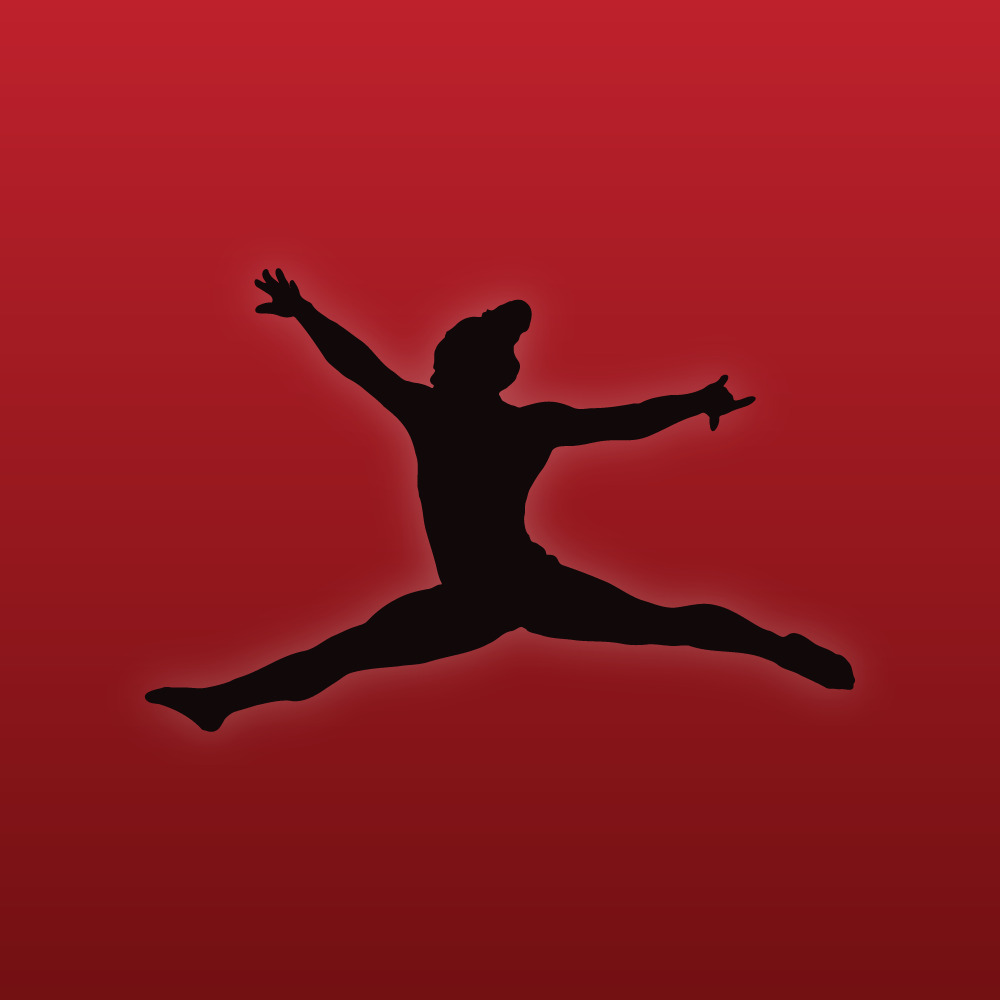 Gymnastics apparel and accessories