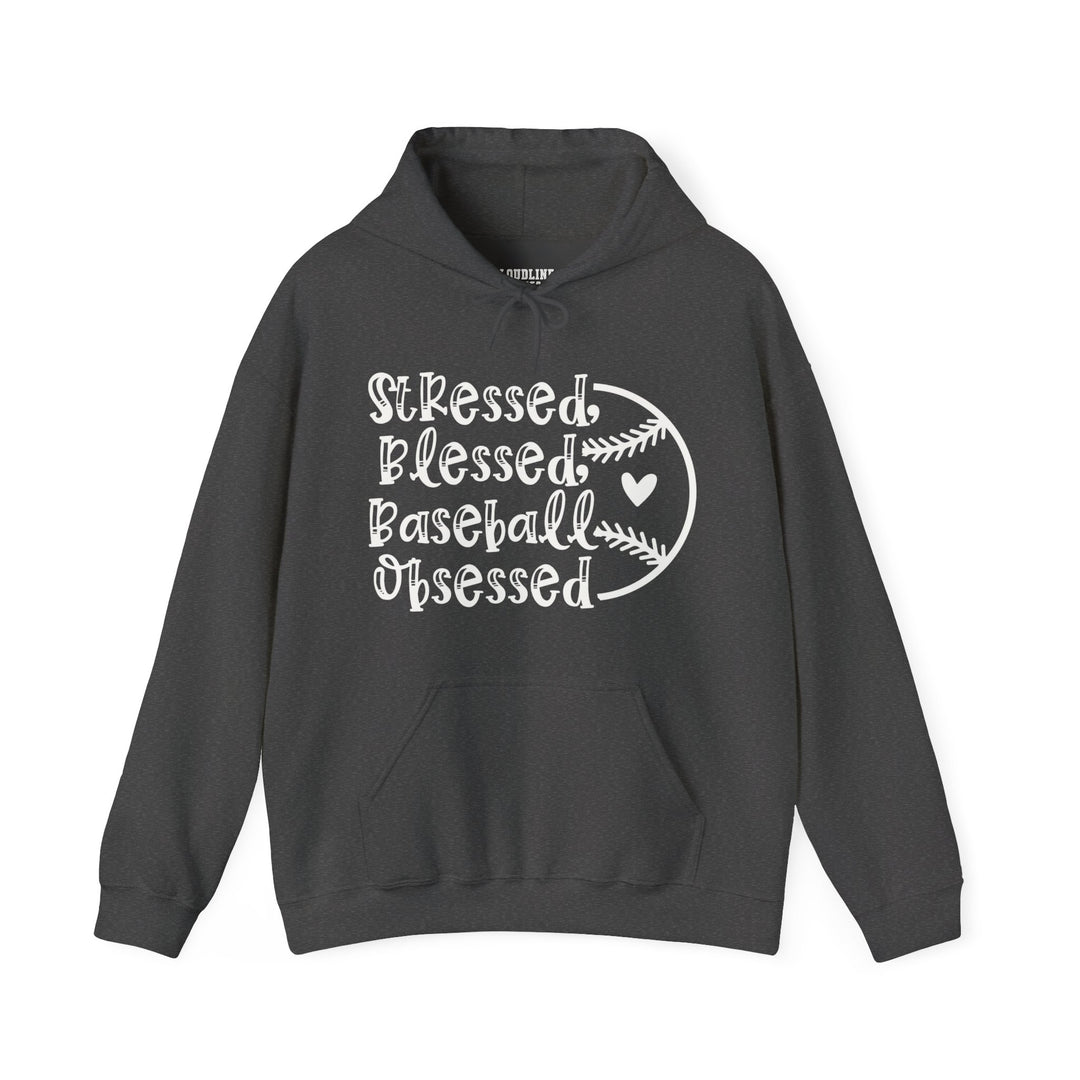 Stressed Blessed Baseball Obsessed Unisex Adult Hooded Sweatshirt