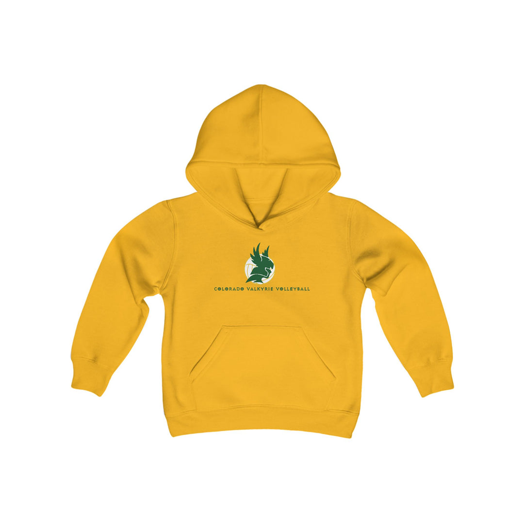 Colorado Valkyrie Volleyball Club Unisex Youth Hooded Sweatshirt