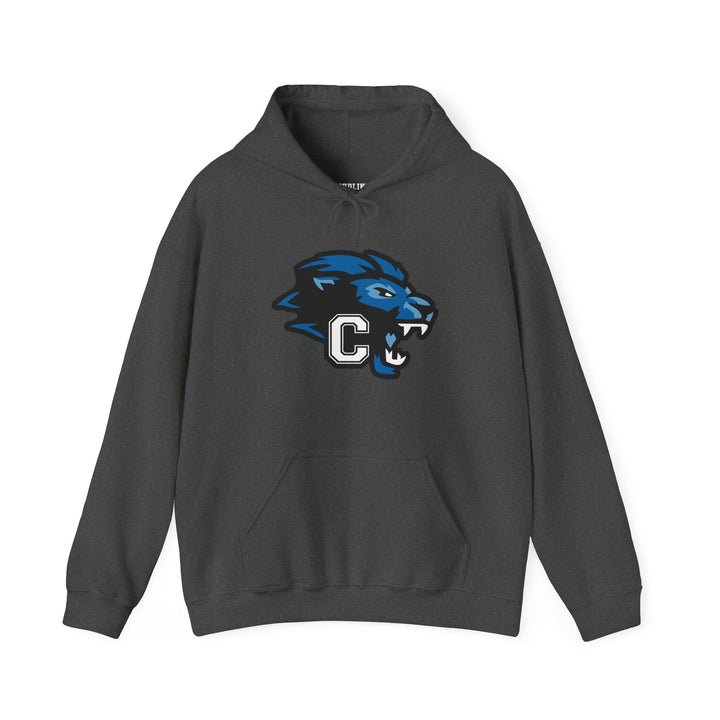 Canton Lions Football &amp; Cheer Unisex Adult Standard Hooded Sweatshirt