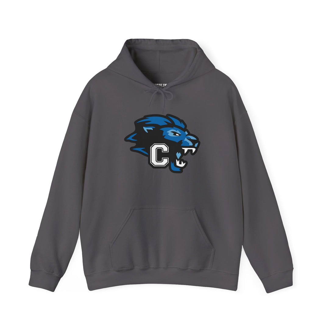Canton Lions Football &amp; Cheer Unisex Adult Standard Hooded Sweatshirt