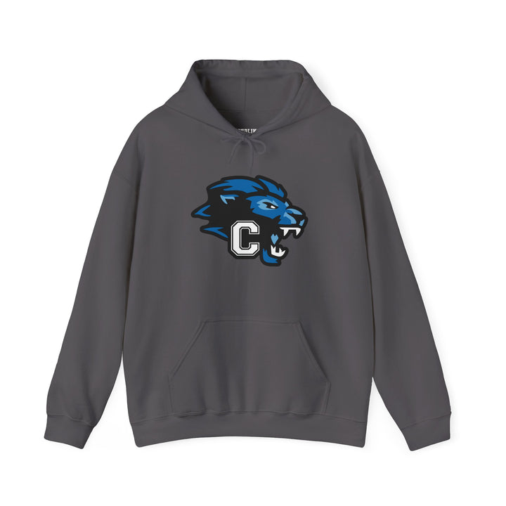 Canton Lions Football &amp; Cheer Unisex Adult Standard Hooded Sweatshirt