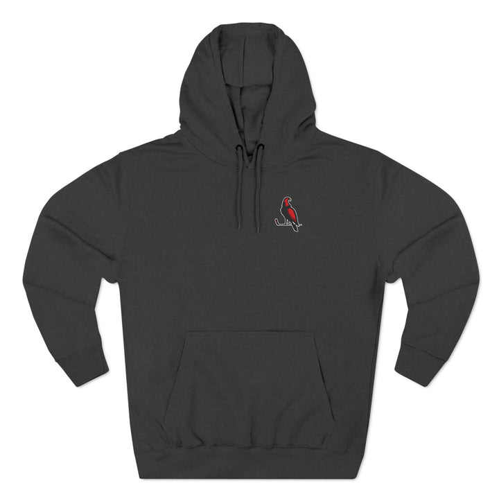 Wheeling Lightningbirds Unisex Adult Mid-Level Hooded Sweatshirt
