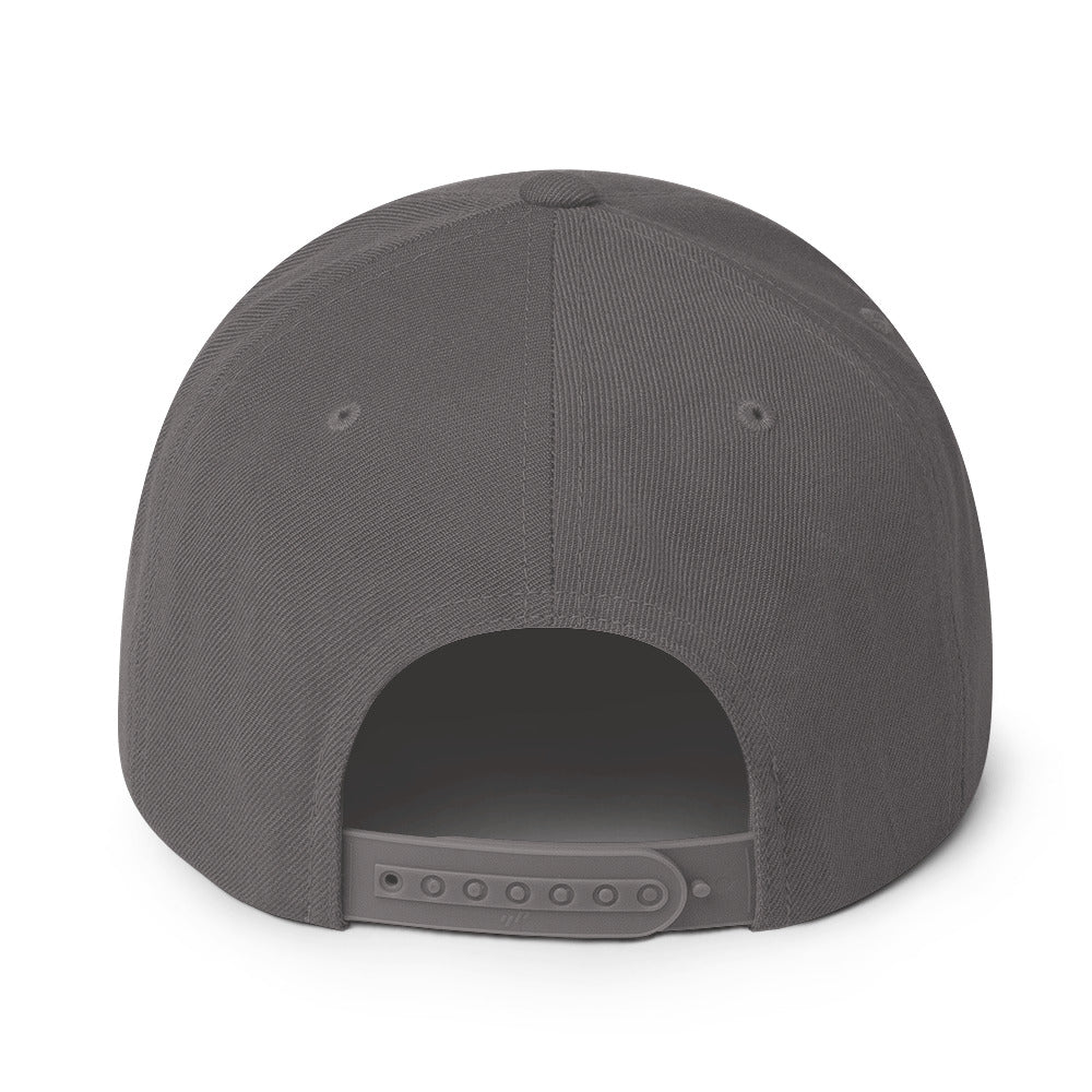 Fever 14U Snapback Hat